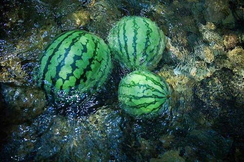 暗黑吃瓜官网入口免费观看,揭秘暗黑世界，畅享独家视听盛宴