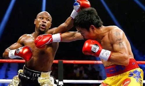 吃瓜娱乐拳击比赛,吃瓜群众眼中的精彩对决